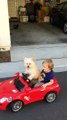 Dog drives little Boy in car.....Daisy Driving Oliver