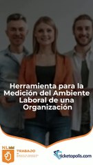 Herramienta para la Medición del Ambiente Laboral de una Organización