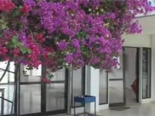 Kenan doğulu klip