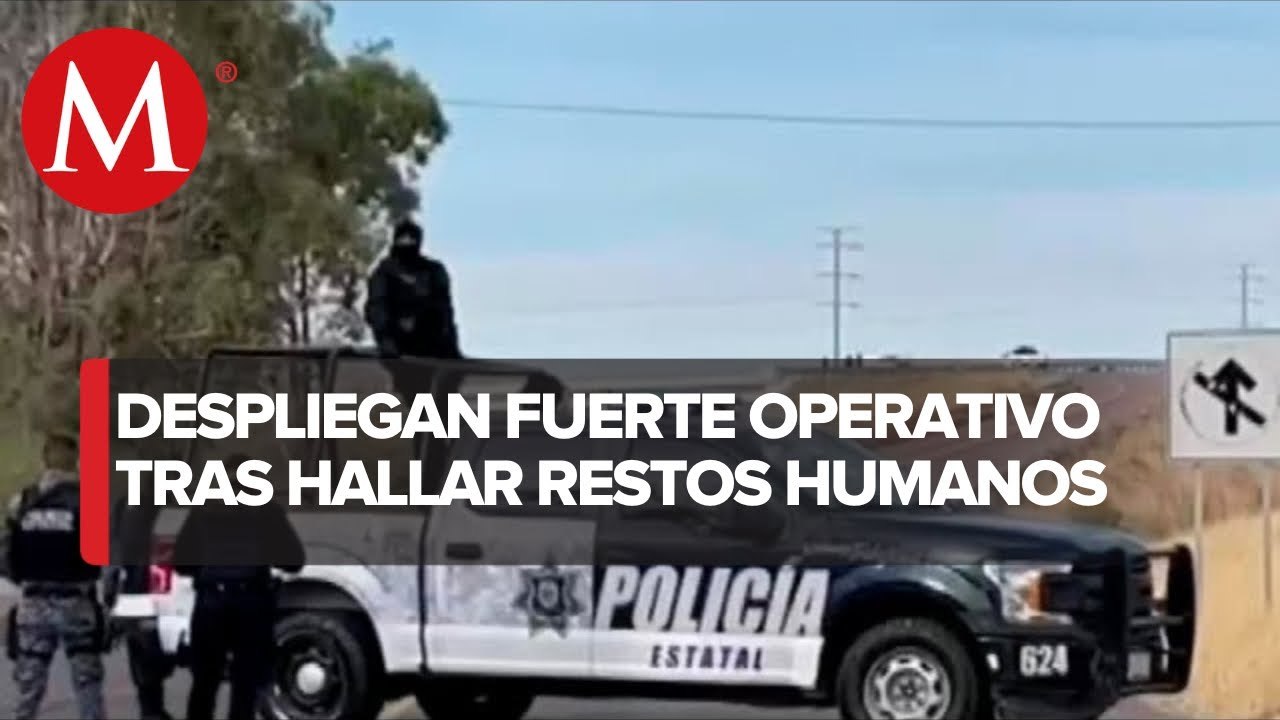 Se registra operativo tras el hallazgo de 3 cuerpos sobre la carretera en Villanueva, Zacatecas
