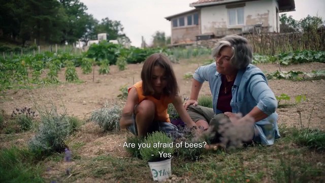 20.000 especies de abejas | movie | 2023 | Official Trailer
