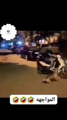 اتقي شر من إحسنت اليه