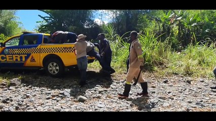 12 RESCUED FROM FOREST IN TOBAGO