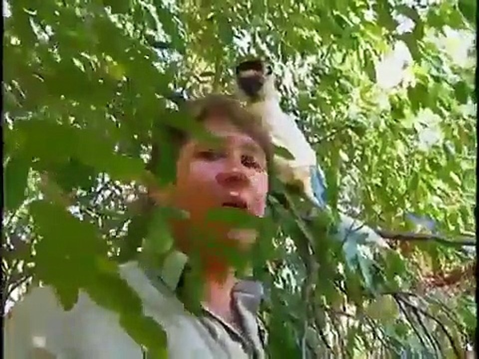 The crocodile hunter - ep19 hd watch