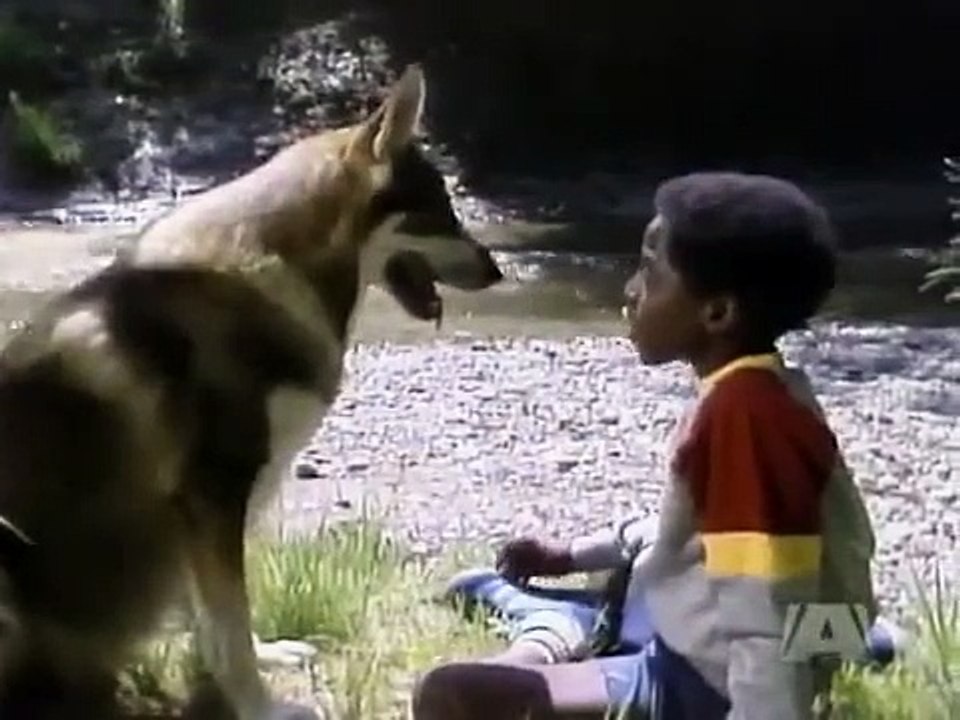 The Littlest Hobo - Se4 - Ep05 HD Watch
