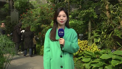 [날씨] 맑고 쌀쌀한 주말...영동 최고 10cm 눈 / YTN