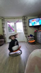 Girl Enjoys Spinning on Carousel