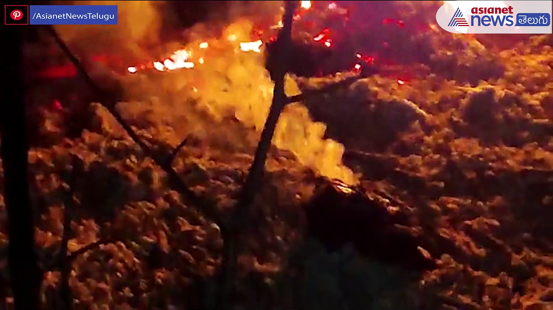 పల్నాడు దాచేపల్లి  నగర పంచాయితీ లో యువకుడి హత్య 