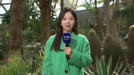 [날씨] 쌀쌀한 주말...내일 낮부터 다시 온화해져 / YTN