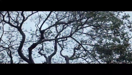 'El Silbón: Orígenes' - Tráiler oficial