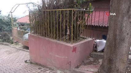 Evin önündeki gizemli türbe merak uyandırıyor