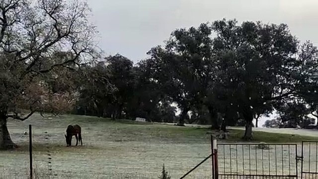 Nieve en Cardeña 25 de febrero de 2023