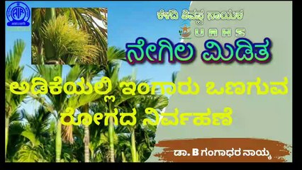 ನೇಗಿಲ ಮಿಡಿತ | ಅಡಿಕೆಯಲ್ಲಿ ಇಂಗಾರು ಒಣಗುವ ರೋಗದ ನಿರ್ವಹಣೆ | ಡಾ. B ಗಂಗಾಧರ ನಾಯ್ಕ