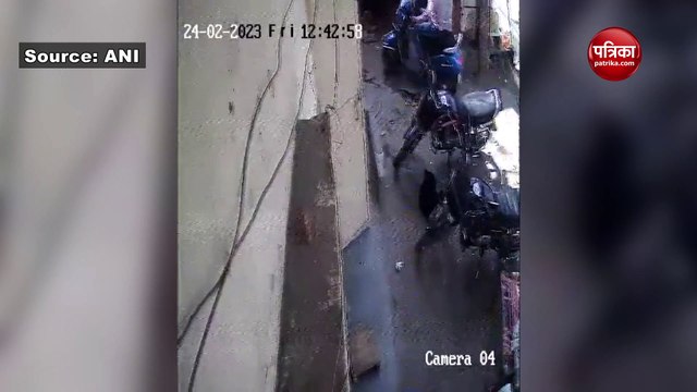 VIDEO : अचानक जमीन में समा गईं सड़क पर खड़ी बाइक्स और कुत्ता, हैरान कर देने वाला नजारा