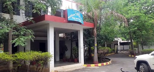 तेंदूपत्ता के ठेके से मिलने वाले राजस्व में लगातार आ रही कमी