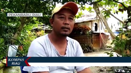 Proses Coklit Petugas PPS Nekat Terobos Banjir