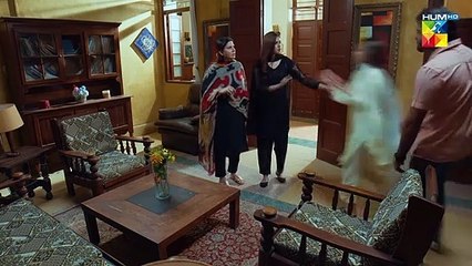 Kya Hania Ke Daman Par Talaq Ka Dagh Lagne Wala Hai.. #washmafatima #humayunashraf - Mere Damad