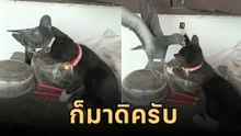 เรื่องวุ่น ๆ วัยรุ่นต่างสายพันธุ์ เปิดชิงบัลลังก์ลูกรัก อีแม่หัวจะปวด