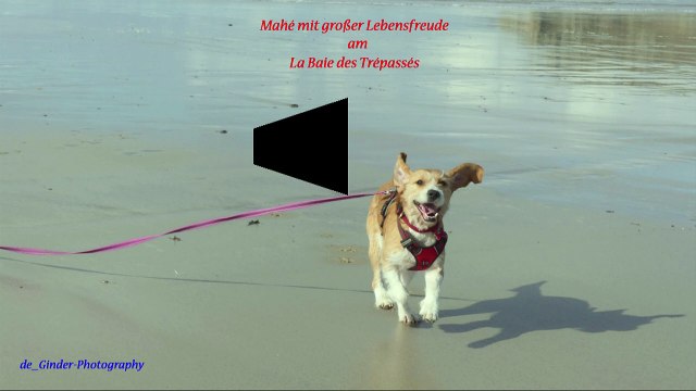 Mahé mit großer Lebensfreude am La Baie des Trépassés