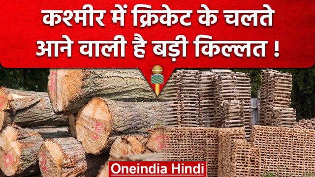 Kasmhir में आई बड़ी किल्लत, 100 साल पुरानी Bat Industry के पास नहीं है कच्चा माल | वनइंडिया हिंदी