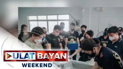 Labi ng apat na pasahero sa bumagsak na Cessna plane malapit sa Bulkang Mayon crater, narekober na