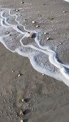 Dubai beach cleaning