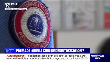 LA VÉRIF' - Palmade: quelle cure de désintoxication ?