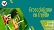 Punto Verde | Ecosocialismo en Trujillo promueve la protección y conservación de áreas naturales