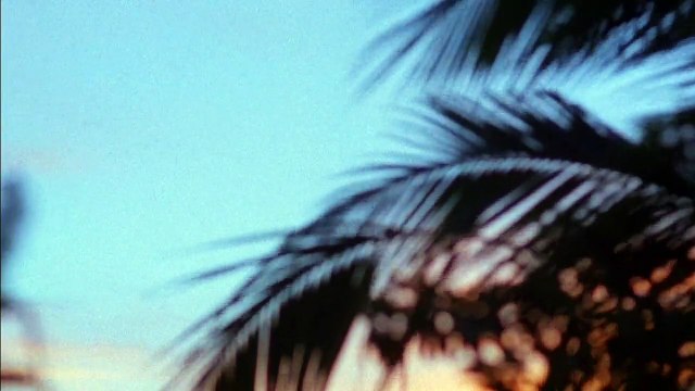 Shottas - Gangster (2002) Filme Deustche HD