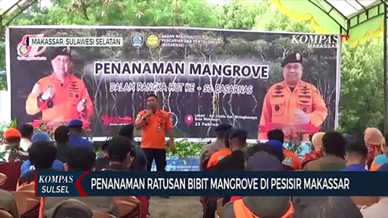 Penanaman Ratusan Bibit Mangrove Di Pesisir Makassar