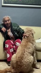 Dog Just Wants a Hug From Grandma