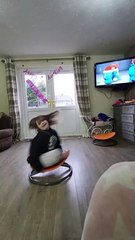 Girl Enjoys Spinning on Carousel