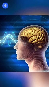 Yawning Facts | know This Tamil