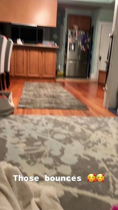 Bella The Bouncing Pup