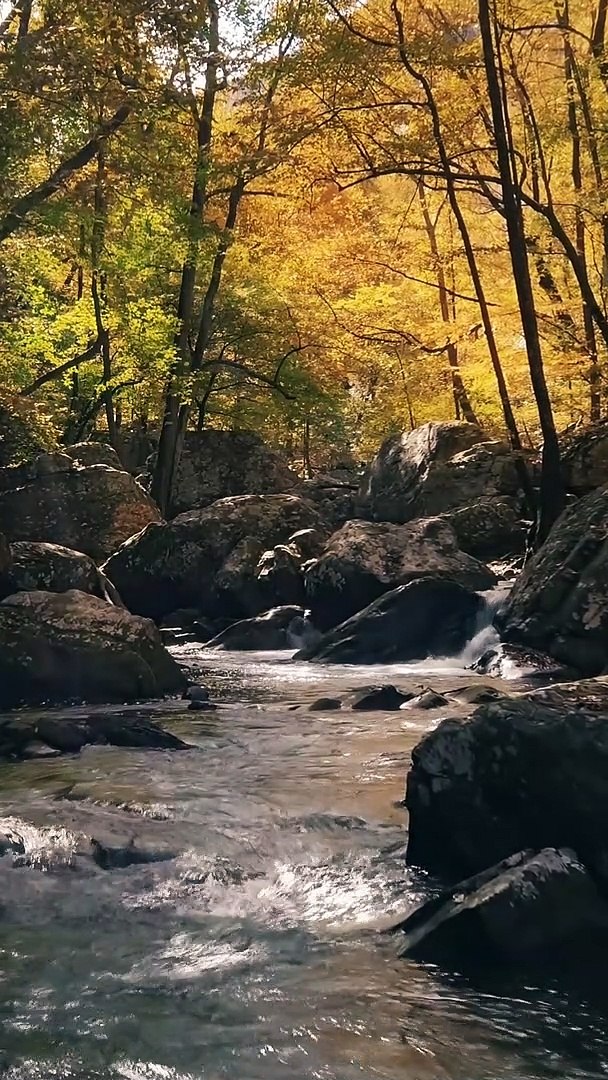 Relaxation Music | Meditation Music | Soothing Music