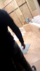 Mischievous Cat Flickers Light Switch