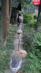 कुछ चीजें देखने के बाद ही समझ में आता है