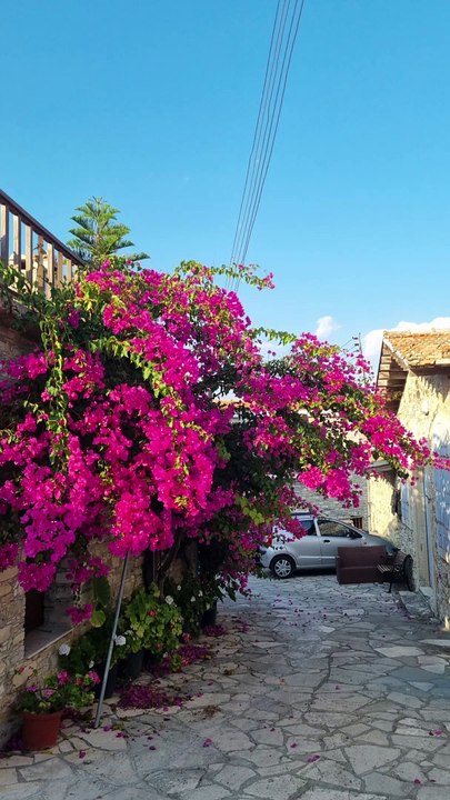 Trodos - Kato Lefkara