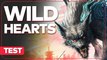 Wild Hearts - Test complet
