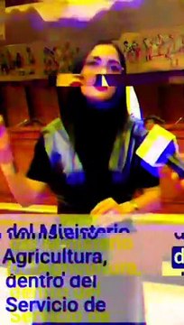 El Ecuador ha caído en un abismo de inseguridad y violencia desde que grupos de poder y mafias, al parecer, llegaron a supuestos acuerdos.