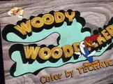 Woody Woodpecker Woody Woodpecker E159 – Horse Play