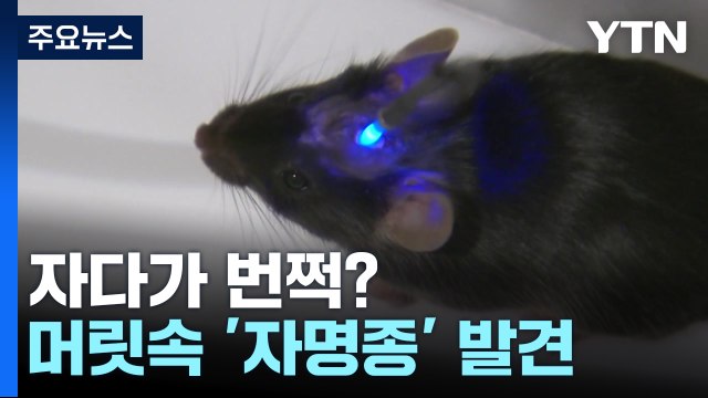 [과학 한스푼] 수면 중 알람 듣고 깨는 신경회로 규명...각성 장애 치료 단초 / YTN