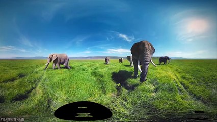 10 Biggest Animals That Ever Roamed Our Planet