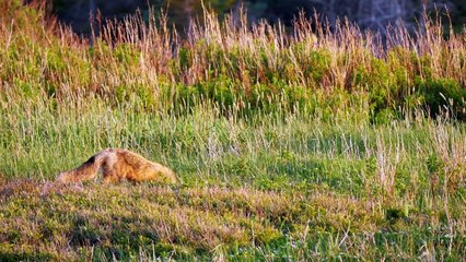 10 Bizarre Discoveries in The Amazon