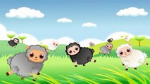 Baa Baa Black Sheep Rhymes - Children's Nursery Rhymes song & Kids Nursery Poem