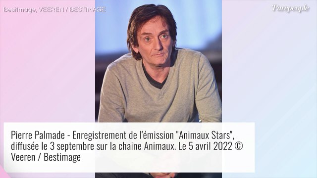 Pierre Palmade victime d'un AVC : ce que l'on sait de son état de santé