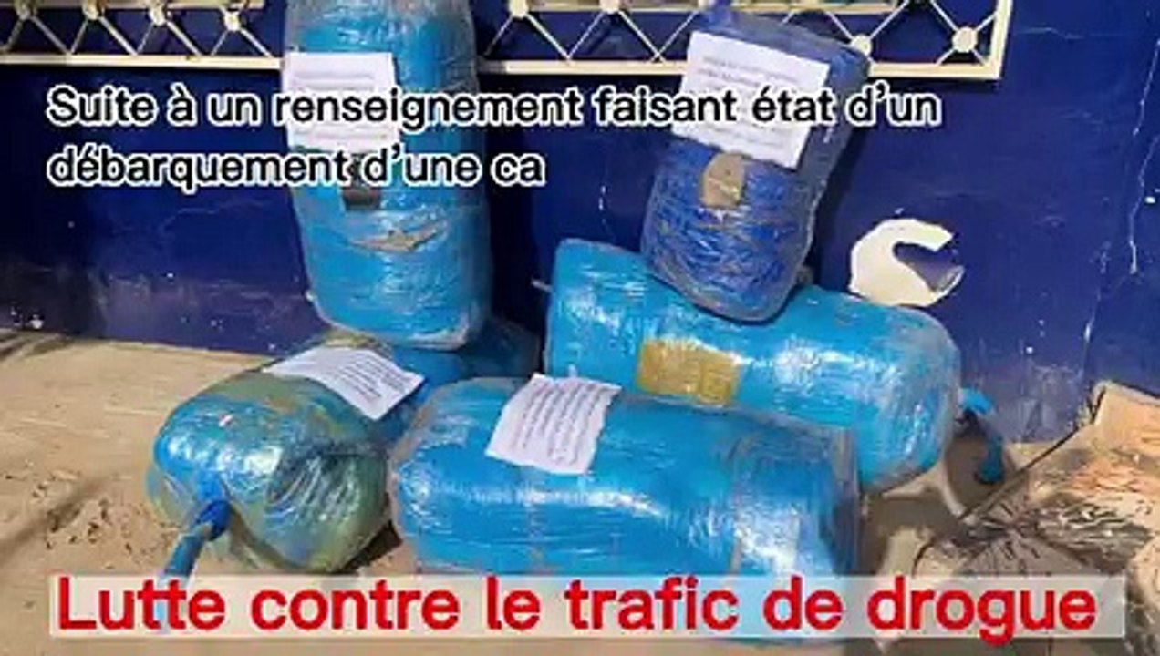 Nianing: La gendarmerie saisit 180 kg de drogue, un suspect arrêté