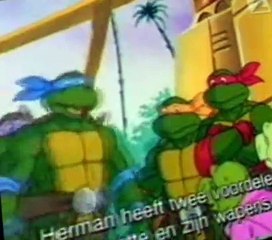 Teenage Mutant Ninja Turtles (1987) Teenage Mutant Ninja Turtles E126 Planet of the Turtleoids: Part 2