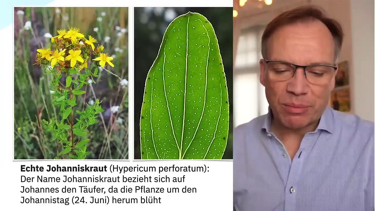 Johanniskraut Alles- was Du über das pflanzliche Antidepressivum wissen möchtest-_x264