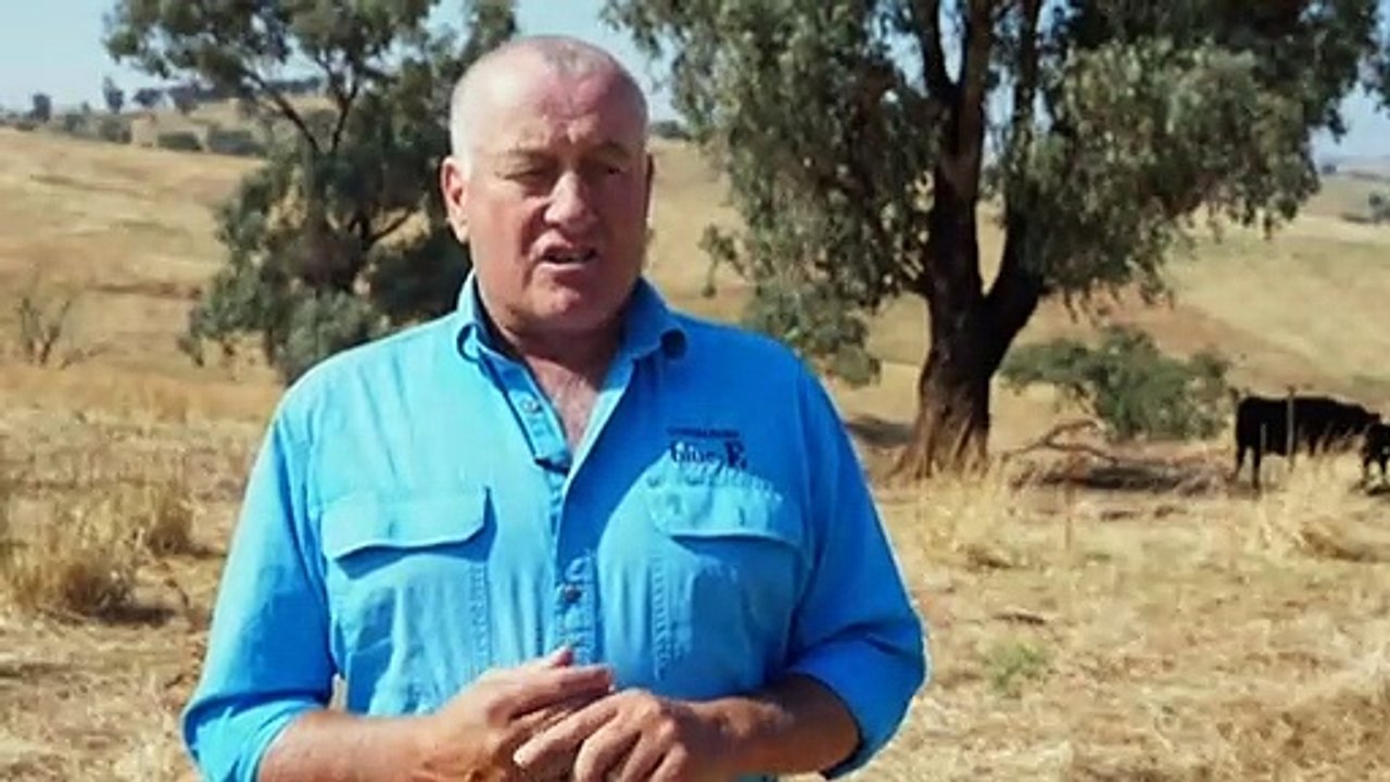 Farmers first and foremost, these gay graziers are breaking stereotypes